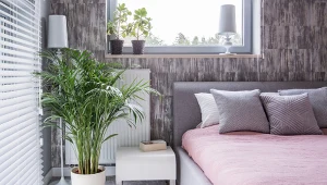 Rśliny, które pomagają poprawić jakość powietrza w sypialni.