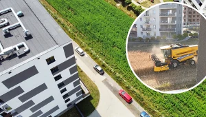 Najsłynniejsze pole w Polsce zostało wykupione. Zamiast żniw i orki pomiędzy blokami powstanie nieruchomość