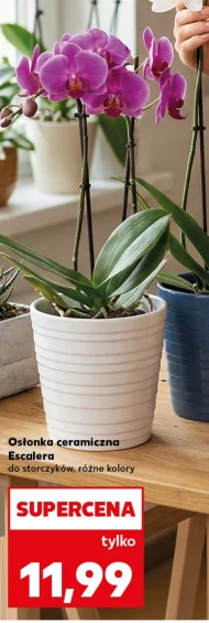 Обкладинка