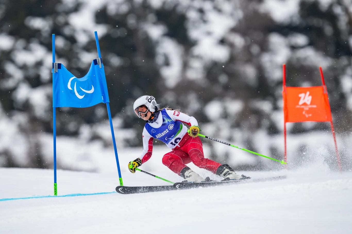 Narciarz alpejski w czerwonym stroju pokonuje slalom między niebieską i pomarańczową bramką na ośnieżonym stoku, w tle rozmyte drzewa.