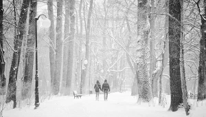 W przyszłym tygodniu należy się spodziewać opadów deszczu ze śniegiem