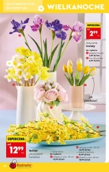 Hity i inspiracje - Biedronka