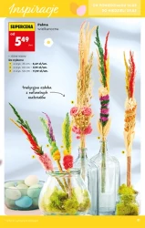 Hity i inspiracje - Biedronka