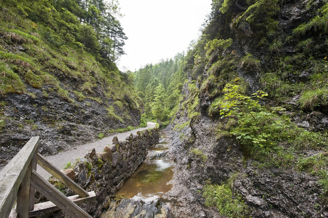 To miejsce idealne na wiosenną wędrówkę całą rodziną. Rzut beretem od Zakopanego Szlak turystyczny w Dolinie Białego w Tatrach, niedaleko Zakopanego.