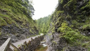 To miejsce idealne na wiosenną wędrówkę całą rodziną. Rzut beretem od Zakopanego