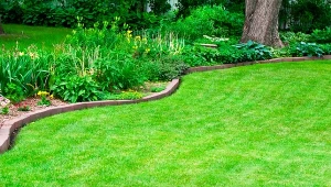 Trawnik będzie zdrowy i soczyście zielony. Pamiętaj w marcu o murawie