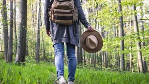 Obudziły się wcześniej niż zwykle. Leśnicy ostrzegają: "Patrzcie pod nogi"