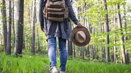 Wybierasz się do lasu? Bacznie patrz pod nogi