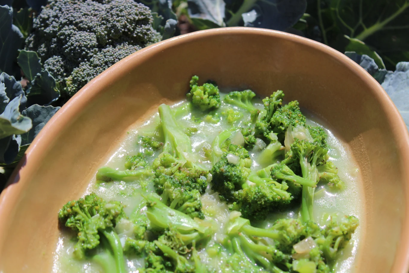 Gotowane brokuły w delikatnym sosie, podane w owalnym, brązowym naczyniu, z widocznymi kawałkami cebuli oraz główką świeżego brokułu w tle.