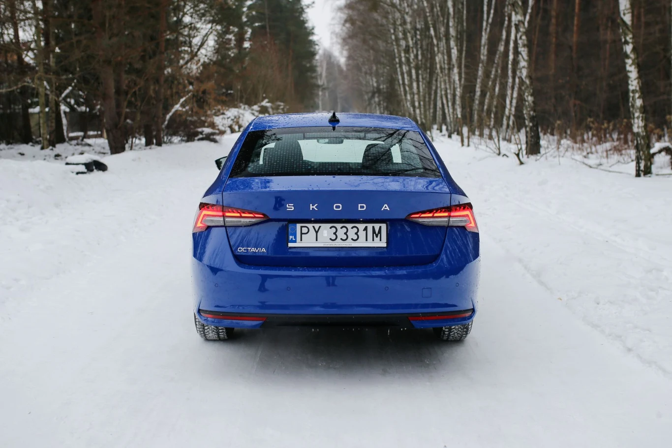 Niebieska Škoda Octavia zaparkowana tyłem na ośnieżonej drodze otoczonej lasem, z widocznymi białymi brzózami po prawej stronie oraz wyraźnym numerem rejestracyjnym na środku pojazdu.