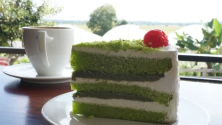 Zielone, wiosenne ciasto będzie rewelacyjną przekąską do kawy i hitem rodzinnych spotkań. Sprawdź, jak je wykonać. 