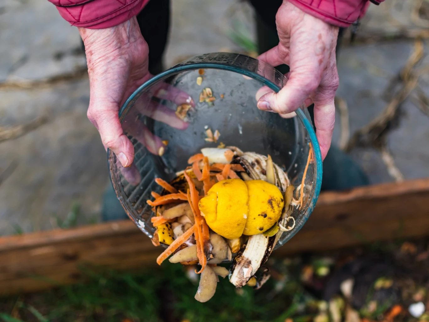 Podpowiadamy, jak przyspieszyć kompostowanie po zimie. Odpady organiczne w szklanej misce nad kompostownikiem na zewnątrz, osoba w czerwonej kurtce.