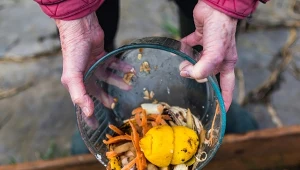 Wrzuć, by kompost pracował pełną parą. Będzie nawozu na cały sezon