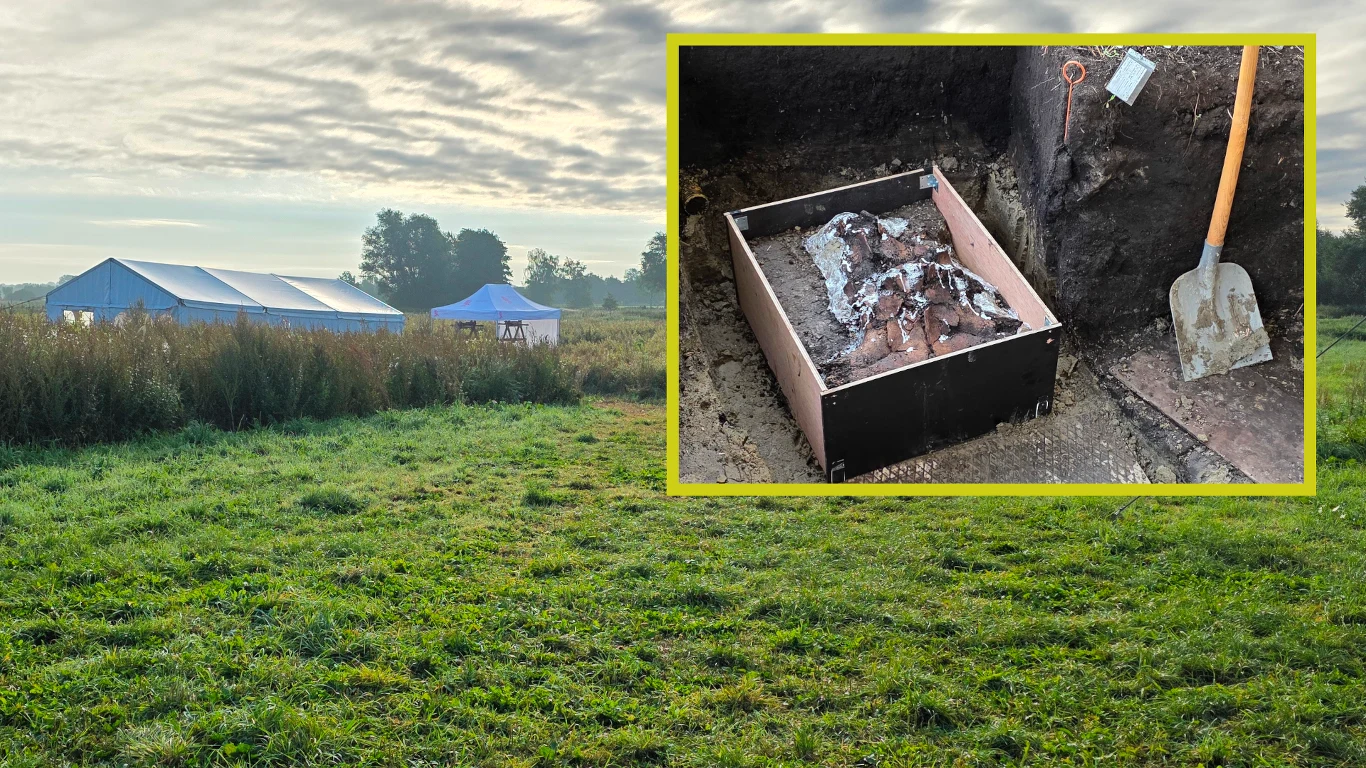 Wielkie odkrycie w Niemczech przybliża historię starożytnych grup ludzi article cover