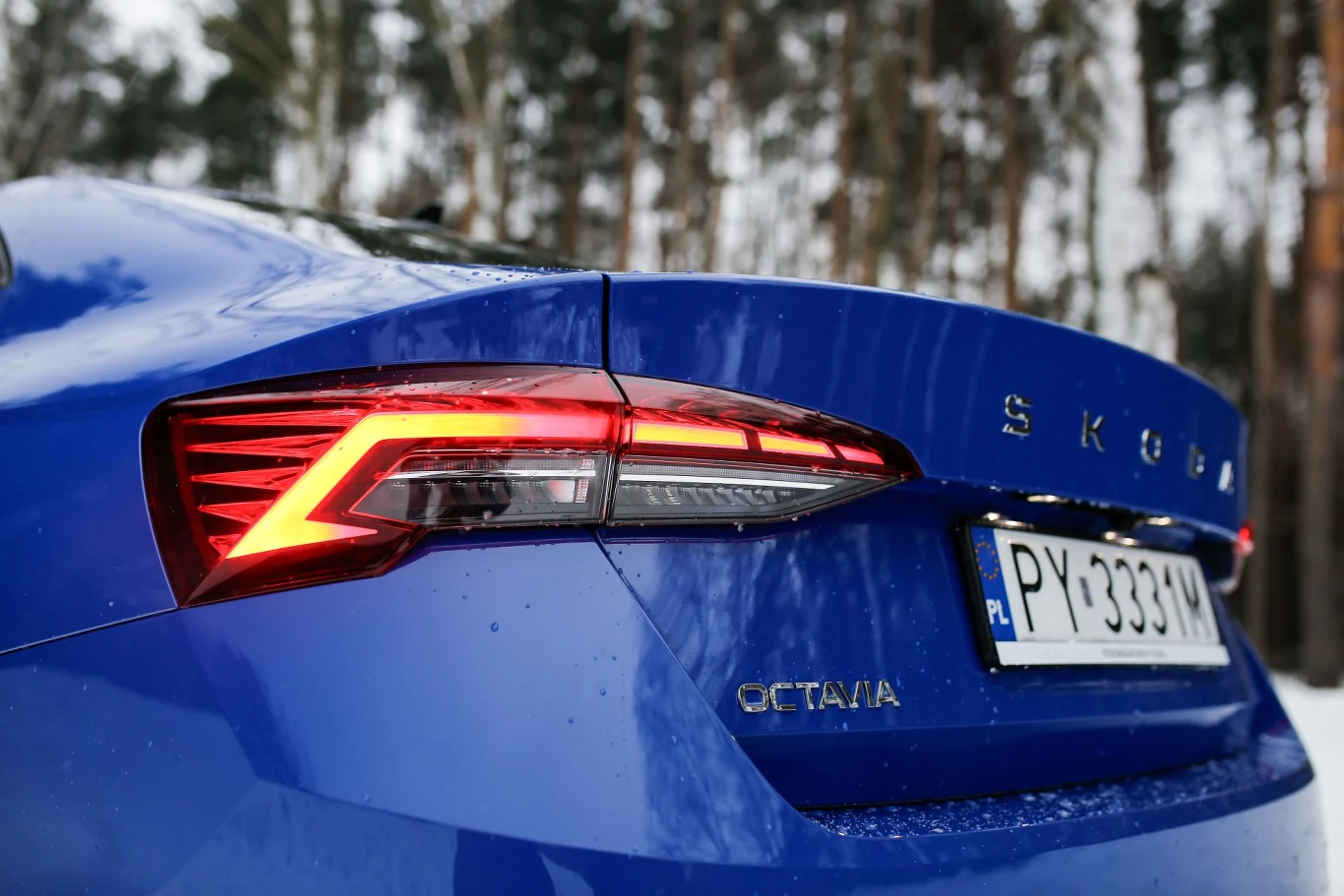 Tylna część niebieskiej Škody Octavia z podkreślonymi nowoczesnymi lampami LED oraz widoczną polską tablicą rejestracyjną, otoczona rozmytym tłem lasu.