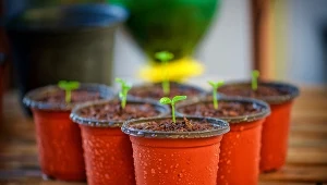 Nowe przepisy unijne mają ograniczyć zalew plastiku, którego produkcja przekracza 400 mln ton rocznie.