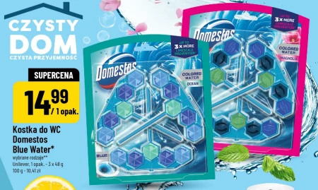 Туалетний куб Domestos