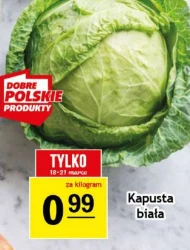 Kapusta biała Marco