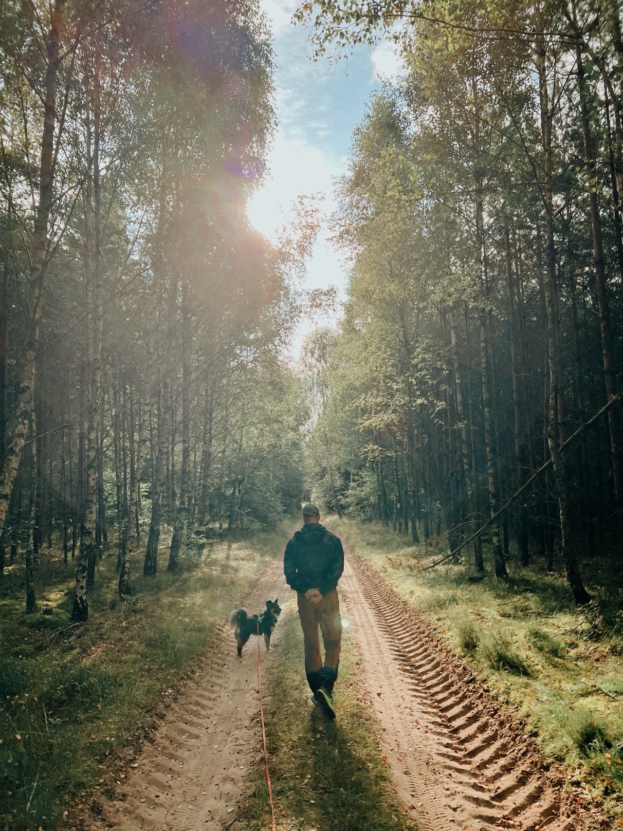 Mężczyzna spacerujący z psem po leśnej drodze otoczonej wysokimi drzewami, promienie słońca przebijają się przez liście.