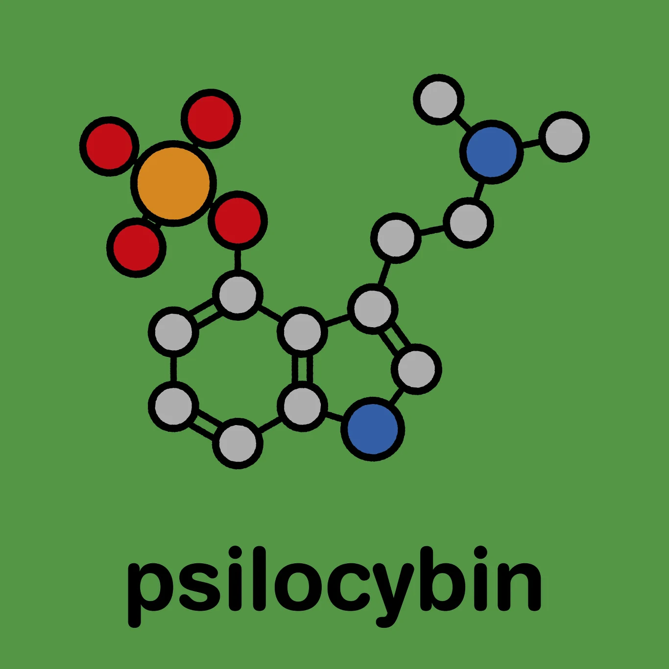 Model cząsteczki psylocybiny z zaznaczonymi kolorami atomami na zielonym tle oraz podpisem „psilocybin” na dole.