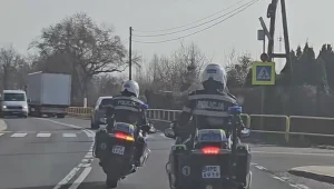 Policjanci na motocyklach patrolują polskie drogi. Są już pierwsze w tym sezonie wypadki z udziałem kierowców jednośladów. Zdj. Policja Lubuska