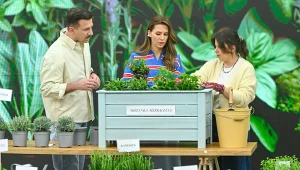 Maciej Rock, Agnieszka Hyży i Kamila Sułek