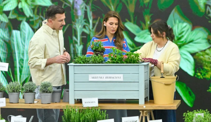 Maciej Rock, Agnieszka Hyży i Kamila Sułek