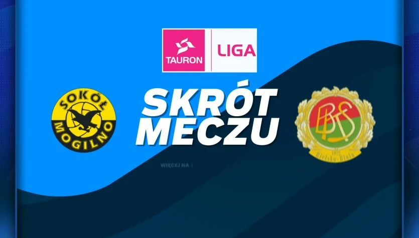 Sokół & Hagric Mogilno - BKS Bostik ZGO Bielsko-Biała. Skrót meczu. WIDEO