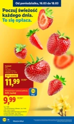 Wielkanoc pełna radości! - gazetka Lidl