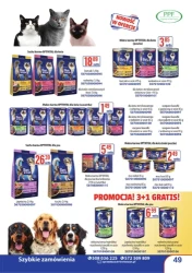 Oferta spożywcza - gazetka At