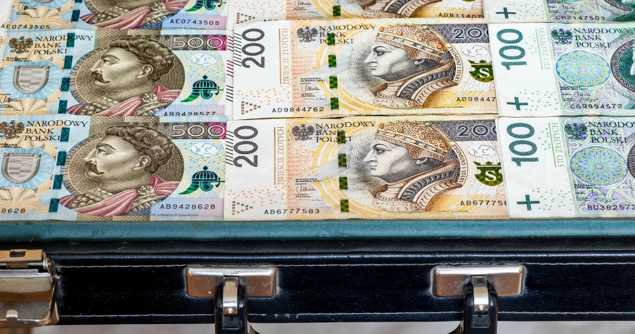 Gospodarka i Finanse w Polsce preview 1