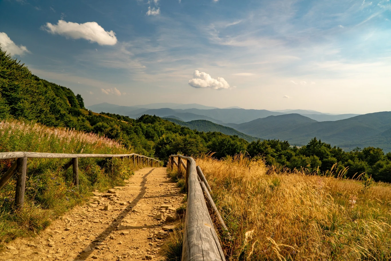 Bieszczady Kamienista ścieżka otoczona drewnianą poręczą prowadzi przez złociste trawy i zielone krzewy w kierunku rozległych, zalesionych gór na horyzoncie, pod błękitnym niebem z kilkoma chmurami.