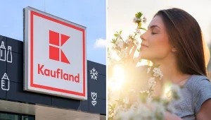 Wiosenna świeżość w domu taniej. Kaufland przecenił popularne zapachy do domu.