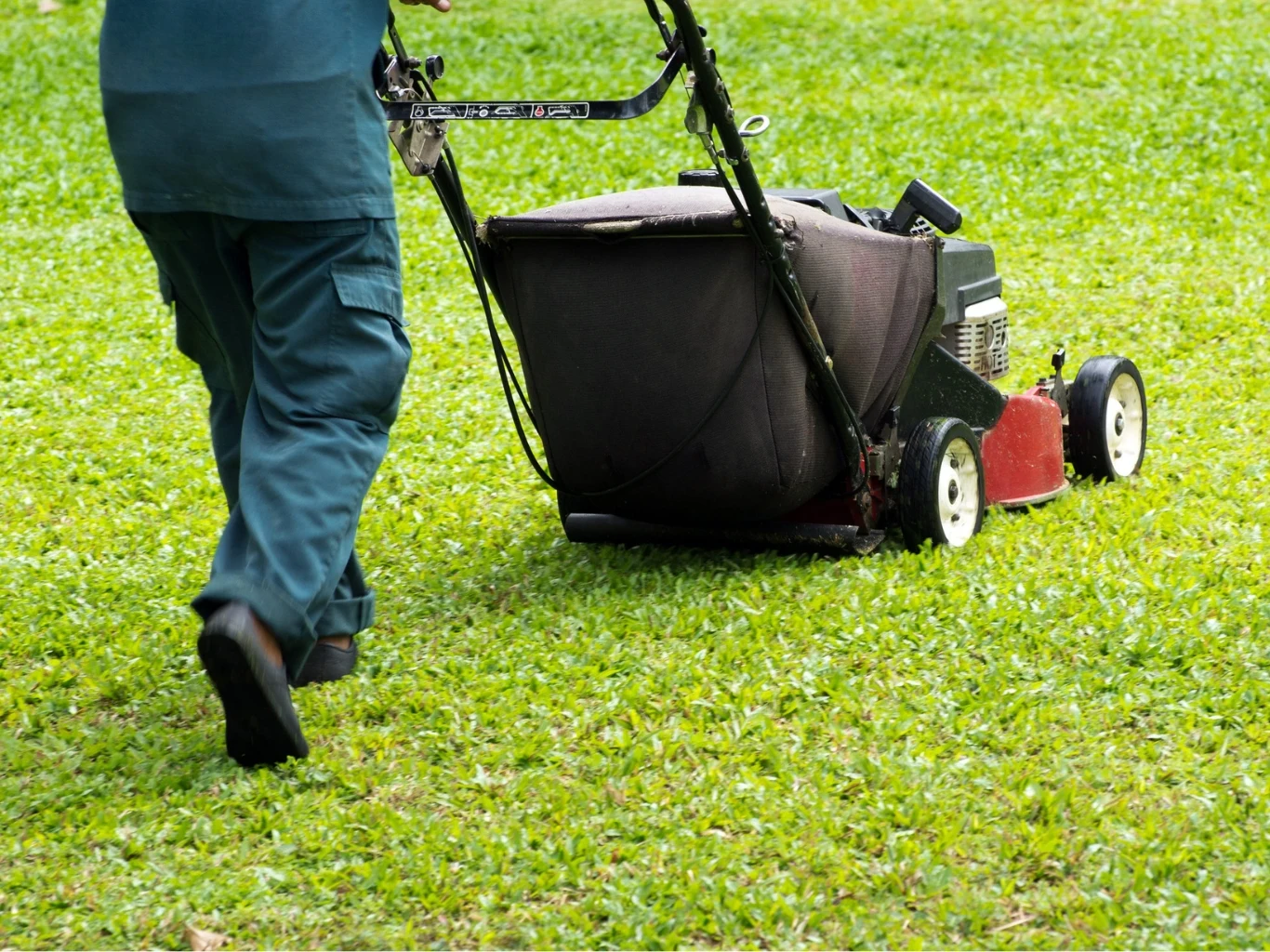 Wiosenne nawożenie trawnika należy przeprowadzić po pierwszym koszeniu. Pierwsze koszenie trawy wiosną