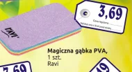 Gąbka RAVI