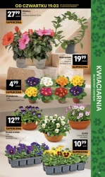 Radosnej Wielkanocy - Delikatesy Centrum