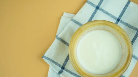 Ten fermentowany napój to jeden z najbogatszych źródeł naturalnych priobiotyków. Dlaczego warto go pić regularnie? 