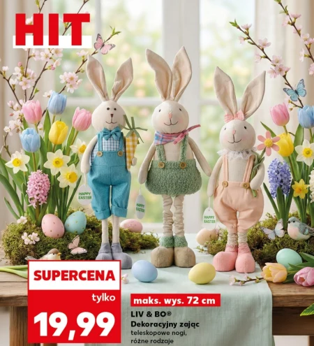 Декоративний заєць Liv & BO