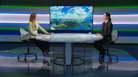 Sprzęt wojskowy kontra bagna i lasy. Czy natura może być tarczą?