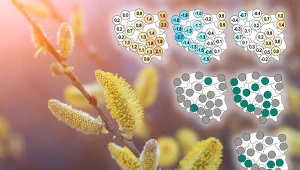 Przełom marca i kwietnia może być wyraźnie chłodniejszy niż zwykle. Nie powinno też zabraknąć deszczu, przede wszystkim na południu i zachodzie. Taka pogoda może panować w Wielkanoc 2026