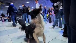 Czysta Polska - odc.253