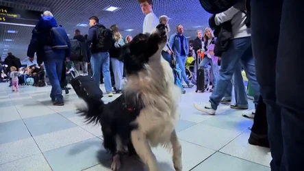 Czysta Polska - odcinek 253