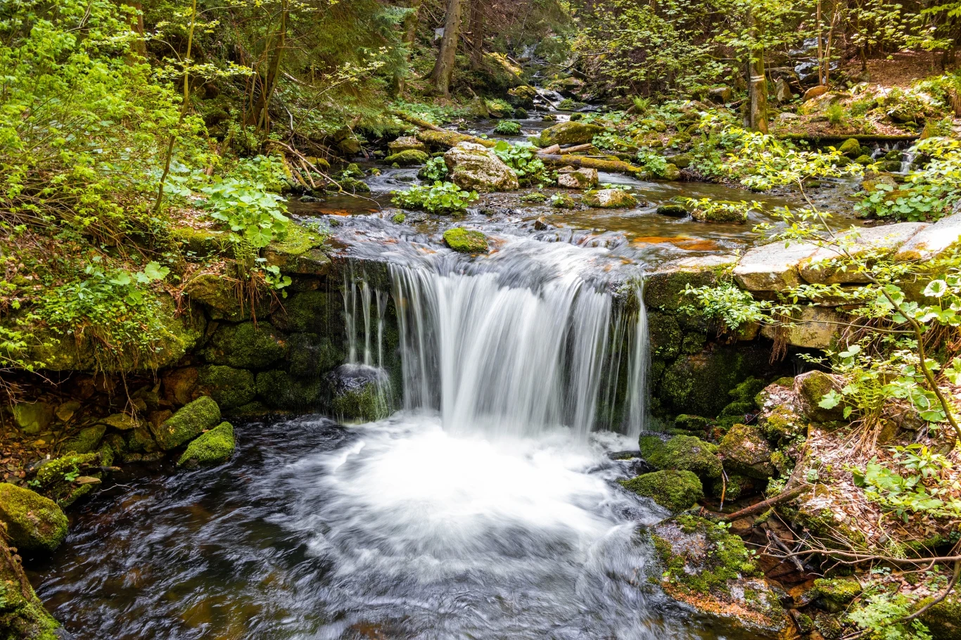 mały wodospad spływający po omszałych kamieniach otoczony gęstą zielenią lasu, z przejrzystą wodą płynącą przez skalisty strumień