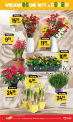 Najlepsze oferty spożywcze – POLOmarket