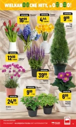 Najlepsze oferty spożywcze – POLOmarket