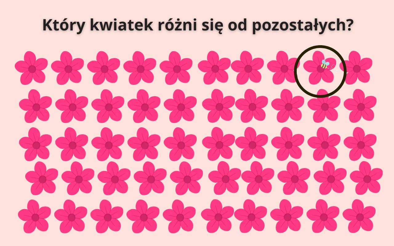 Rząd kwiatków ułożonych w równych liniach, spośród których jeden w górnym rzędzie po prawej stronie otoczony jest czarnym okręgiem i wyróżnia się obecnością małego owada na płatku.