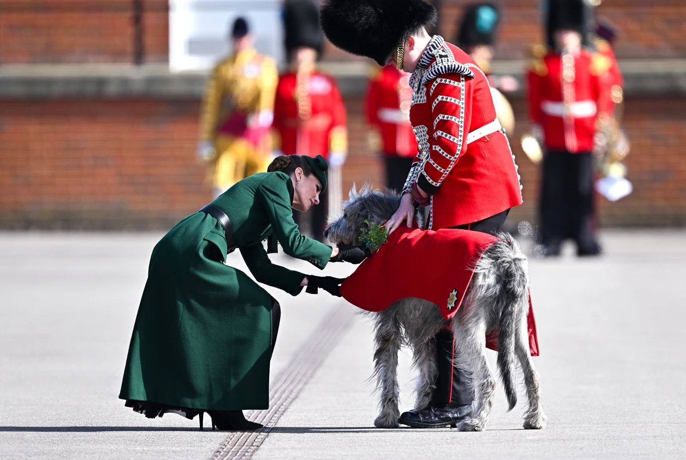 kobieta w zielonym płaszczu nachyla się, by podać gałązkę żołnierzowi w czerwonym mundurze i wysokiej czarnej czapce, obok którego stoi duży chart w czerwonym okryciu