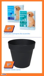 Promocja tygodnia - Action