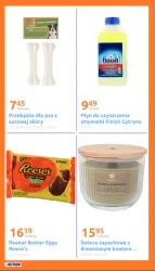 Promocja tygodnia - Action