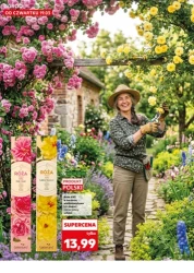 Wiosenne inspiracje - Kaufland